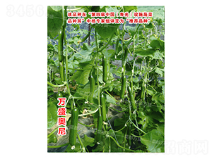 �f(w��n)ʢ�W��-�S�ϷN��-�˶��f(w��n)ʢ