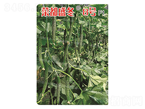 �˶�ʢ��8̖(h��o)-�S�ϷN��-�˶��f(w��n)ʢ