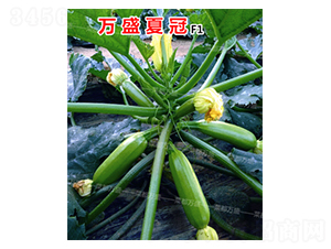 �f(w��n)ʢ�Ĺ�-�����J�N��-�˶��f(w��n)ʢ