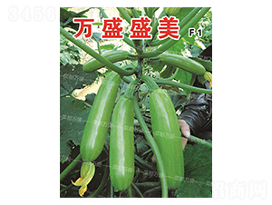 �f(w��n)ʢʢ��-�����J�N��-�˶��f(w��n)ʢ