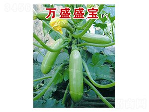 �f(w��n)ʢʢ��-�����J�N��-�˶��f(w��n)ʢ