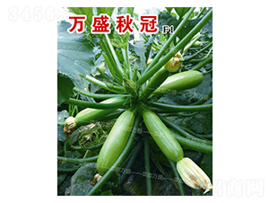 �f(w��n)ʢ���-�����J�N��-�˶��f(w��n)ʢ