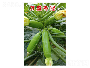 �fʢ����-�����J�N��-�˶��fʢ