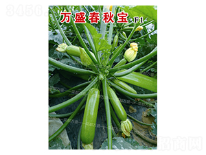 �fʢ���-�����J�N��-�˶��fʢ