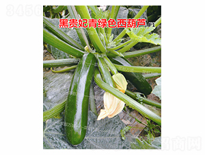 ���F��-�����J�N��-�˶��fʢ