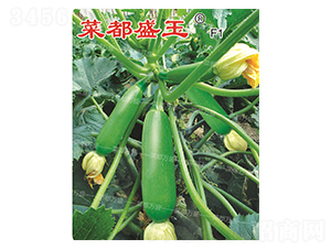 �˶�ʢ��-�����J�N��-�˶��fʢ