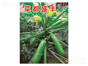 �˶�ʢ�S-�����J�N��-�˶��fʢ