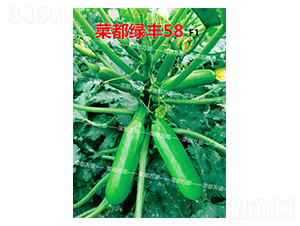 �˶��G�S58-�����J�N��-�˶��fʢ