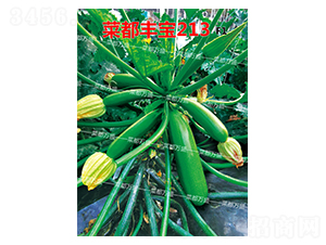 �˶��S��213-�����J�N��-�˶��fʢ