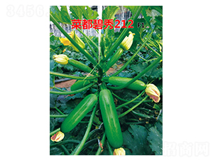 �˶�����212-�����J�N��-�˶��f(w��n)ʢ