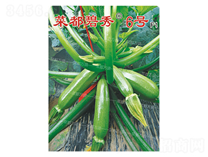 �˶�����6̖-�����J�N��-�˶��fʢ