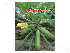 �˶�����4̖(h��o)-�����J�N��-�˶��fʢ