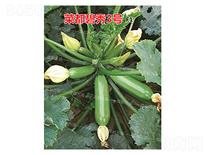 �˶�����3̖-�����J�N��-�˶��fʢ