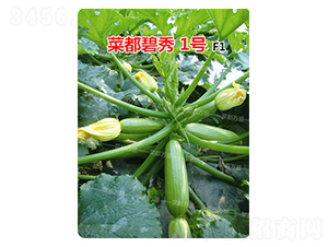 菜都碧秀1號-西葫蘆種子-菜都萬盛