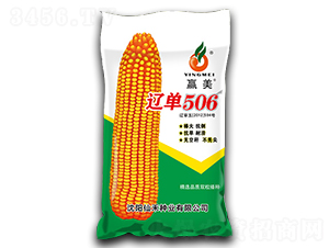 遼單506-玉米種子-仙禾種業(yè)