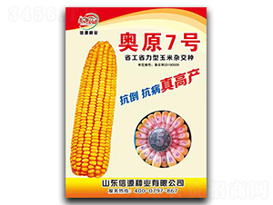 奧原7號(hào)-玉米種子-信源種業(yè)