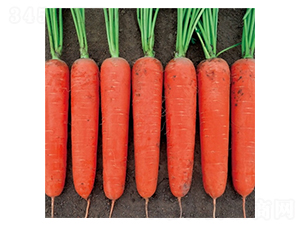 Ļ����t-���}���N��-��Ļ��