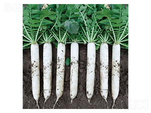 Ļ������-�}���N��-��Ļ��