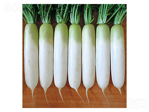 ����-�}���N��-��Ļ��