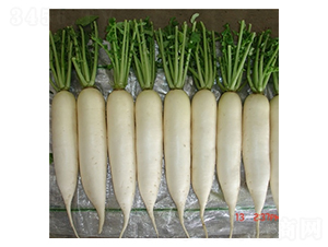 ѩ��-�}���N��-��Ļ��