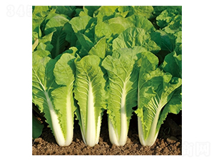 ��Ļ����2̖-�ײ˷N��-��Ļ��