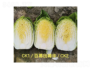 ��Ļ����A-�ײ˷N��-��Ļ��