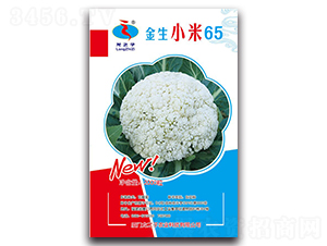 ����С��65-�ɻ��˷N��-��֮��