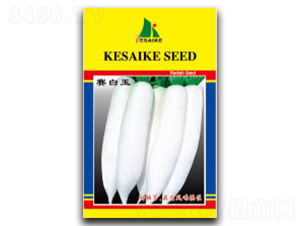 ِ����-�}���N��-�wِ�w