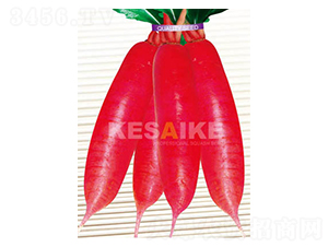 ��t��-�}���N��-�wِ�w