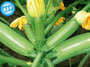 �P��ʮ��̖-�����J�N��-�wِ�w