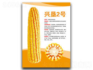 �d��2̖(h��o)-���׷N��-�S���N�I(y��)