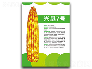 �d��7̖(h��o)-���׷N��-�S���N�I(y��)