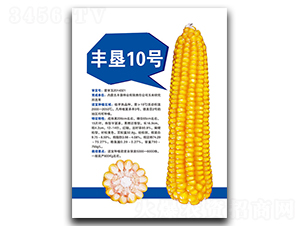 豐墾10號-玉米種子-豐墾種業(yè)