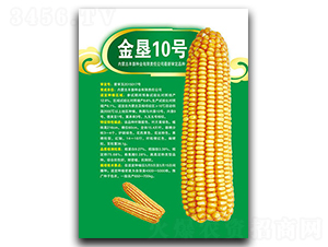 ����10̖(h��o)-���׷N��-�S���N�I(y��)