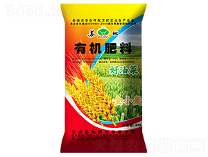 ���Ͳ˽�С���ЙC����-�K�طʘI(y��)