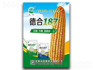 �º�187-���׷N��-��(chu��ng)���N�I(y��)