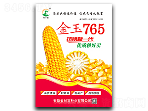 ����765-���׷N��-��(chu��ng)���N�I(y��)