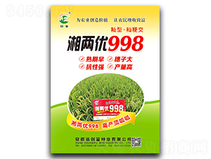 湘兩優(yōu)998-水稻種子-創(chuàng)富種業(yè)