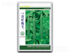 �f(w��n)�����-�S�ϷN��-�|���r(n��ng)�I(y��)