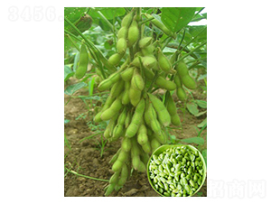 ����������-ë���N��-�|���r(n��ng)�I(y��)