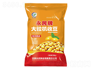 �����C(j��)�ն�-�󶹷N��-����N�I(y��)