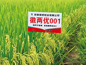 �ՃɃ�(y��u)001-ˮ���N��-����N�I(y��)