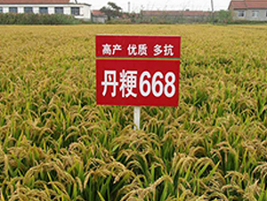 ����668̖-ˮ���N��-����N�I(y��)