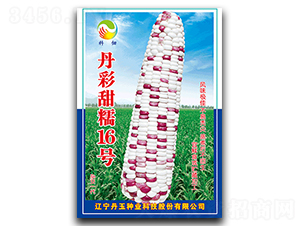 ������Ŵ16̖-Ŵ���׷N��-����N�I(y��)