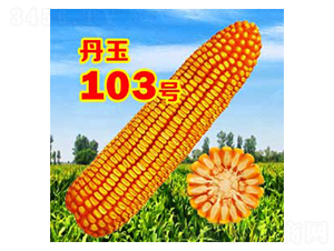 ����103̖(h��o)-���׷N��-����N�I(y��)