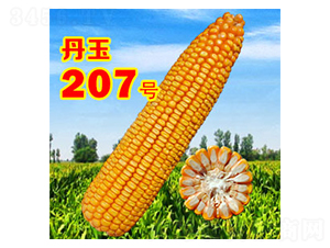 ����207̖(h��o)-���׷N��-����N�I(y��)