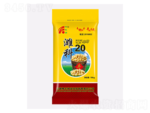 塿�20���S����-�S���N��-���S�N�I(y��)