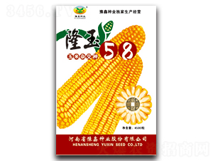 隆玉58-玉米種子-豫鑫種業(yè)