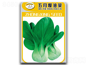 �������Ͳ�-�Ͳ˷N��-�N�ǷN�I(y��)