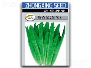 �����˷N��-�N�ǷN�I(y��)